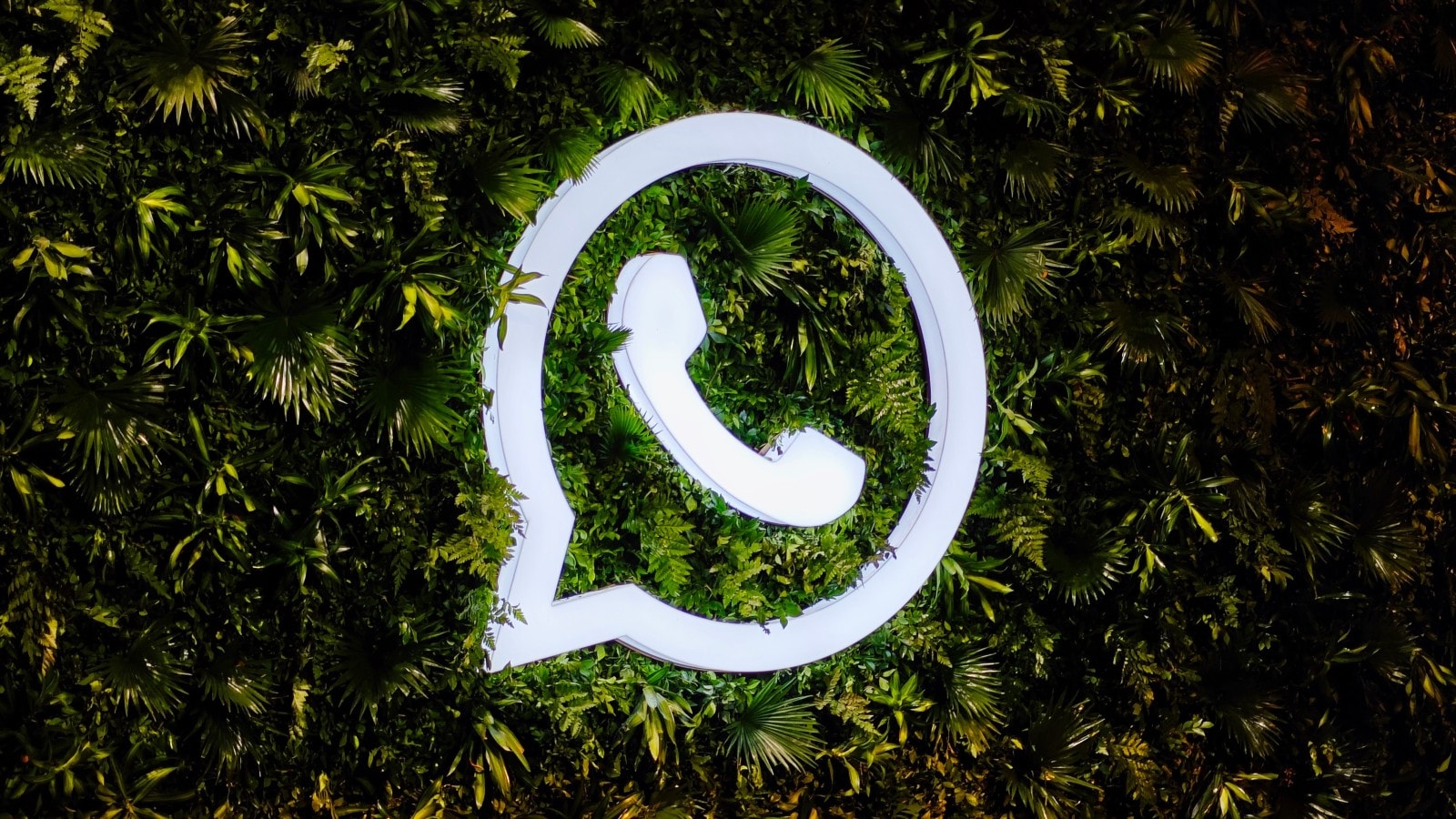 WhatsApp online status and last seen time: How can they help you identify highly active users?